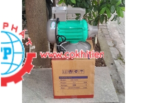 Động cơ đầm dùi Niki 2.2kw/220V
